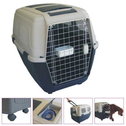 Transporting Traveller 102