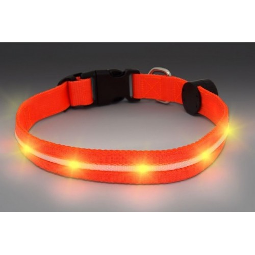 Collar Led Naranja