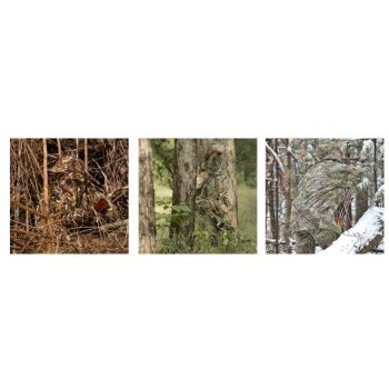 Cinta Adhesiva Boscosa 2