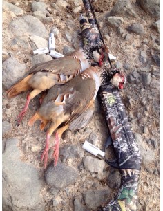 Armedi T-3 Caza 34g Perd. 5 2