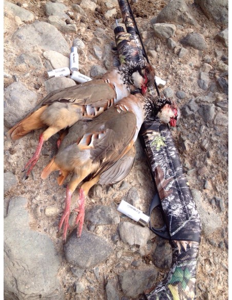 Armedi T-3 Caza 34g Perd. 5