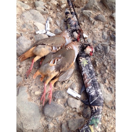 Armedi T-3 Caza 34g Perd. 6