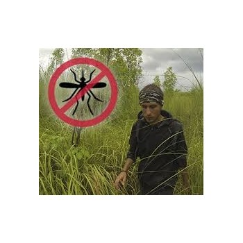 COOLWIND INSECTA COZYMOSI 2