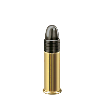 RWS .22 L.R. TARGET PISTOL 2