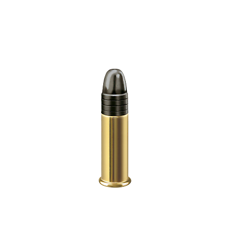 RWS .22 L.R. TARGET PISTOL