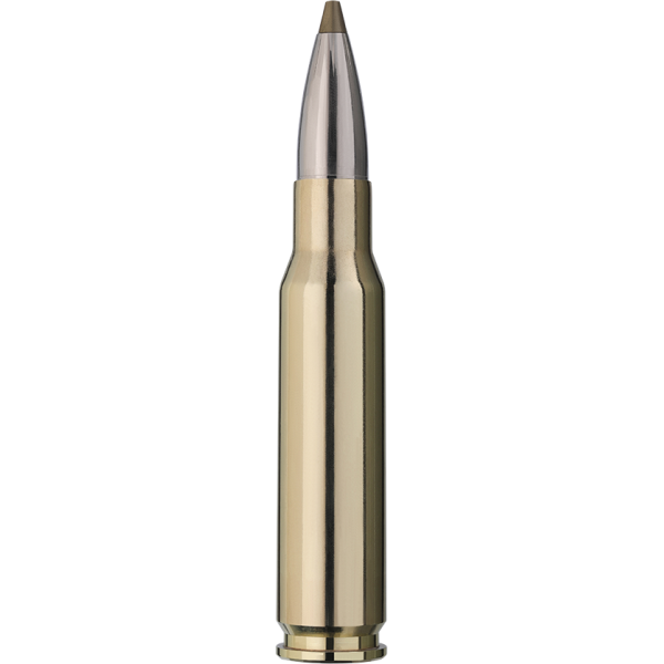 RWS .308 WIN EVO GREEN 139 GR.