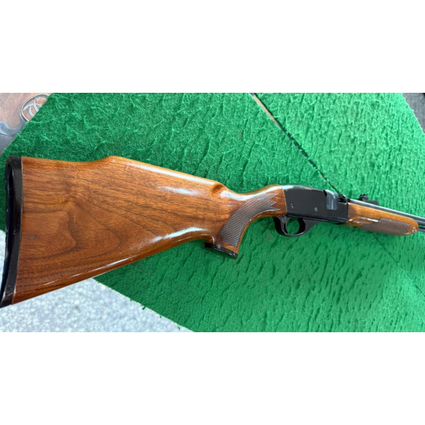 Carabina Remington cal. 22