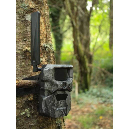 Cámara de fototrampeo HIKMICRO T16 4G